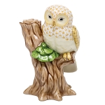 NIGHT OWL